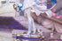 『リーグ・オブ・レジェンド:ワイルドリフト』Gift+ 1/8 水晶の薔薇 ラックス